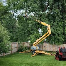 Leaf Removal in Black Diamond, FL